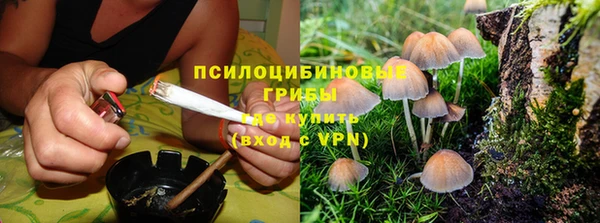не бодяженный Алексин