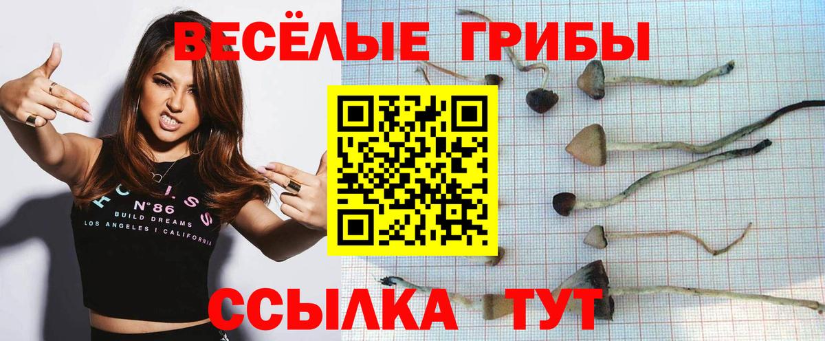 Калач-на-Дону  купить закладку  Псилоцибиновые грибы ЛСД  Вход с VPN  Псилоцибиновые грибы Psilocybine cubensis 